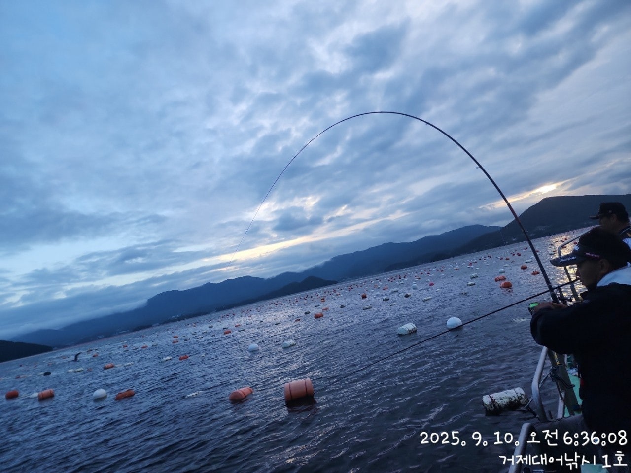 사용자가 올린 이미지