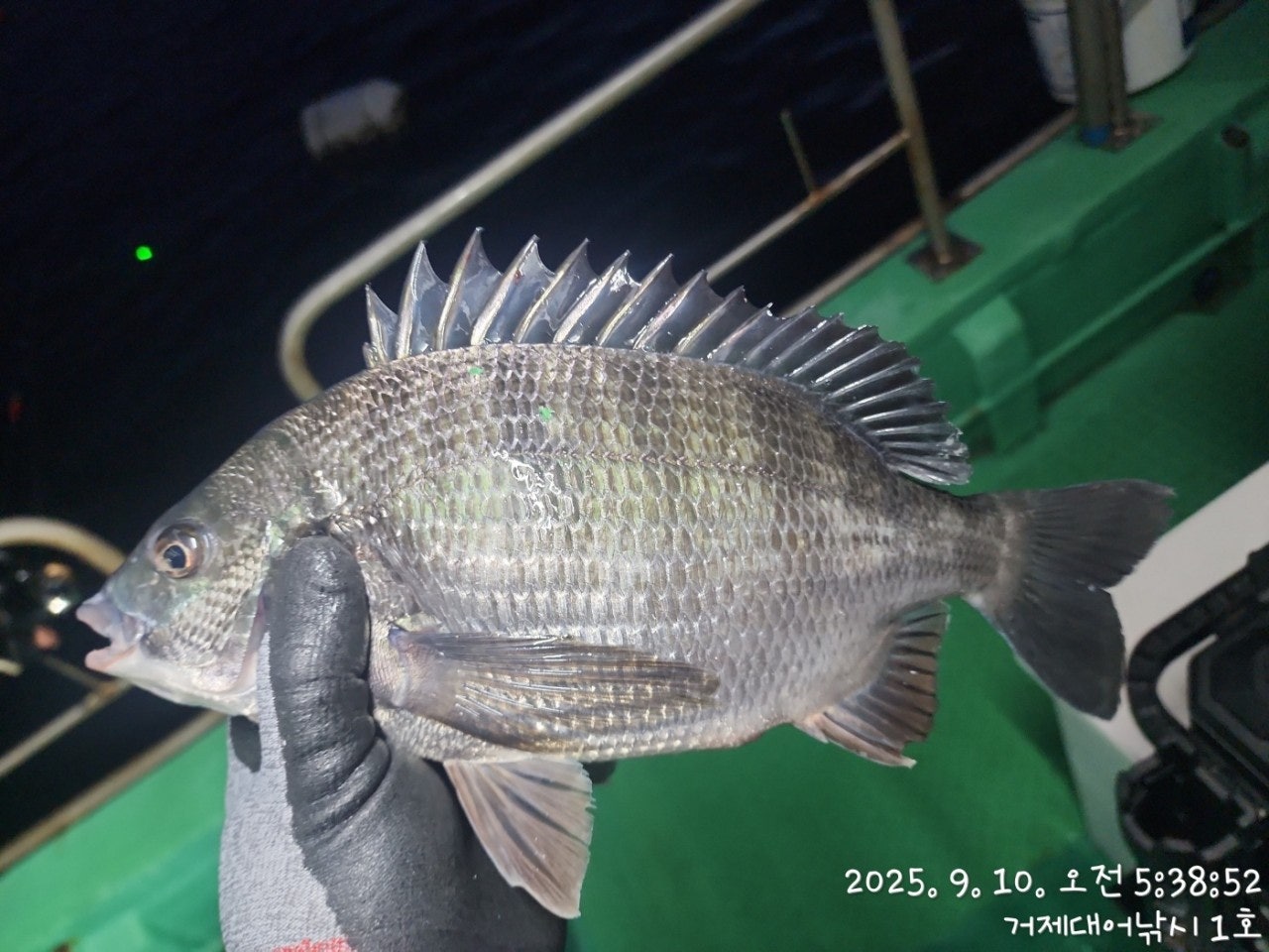 사용자가 올린 이미지