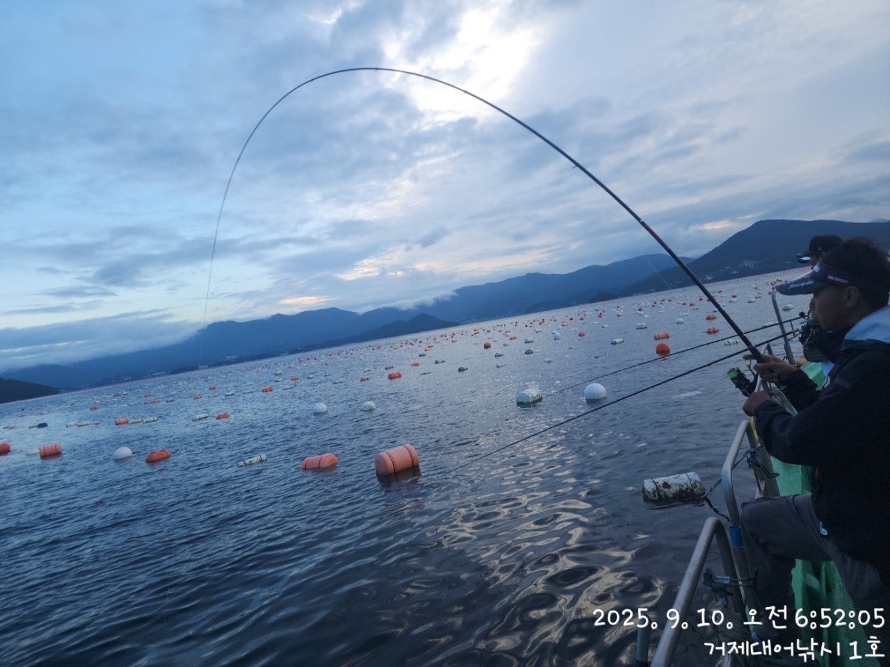 사용자가 올린 이미지