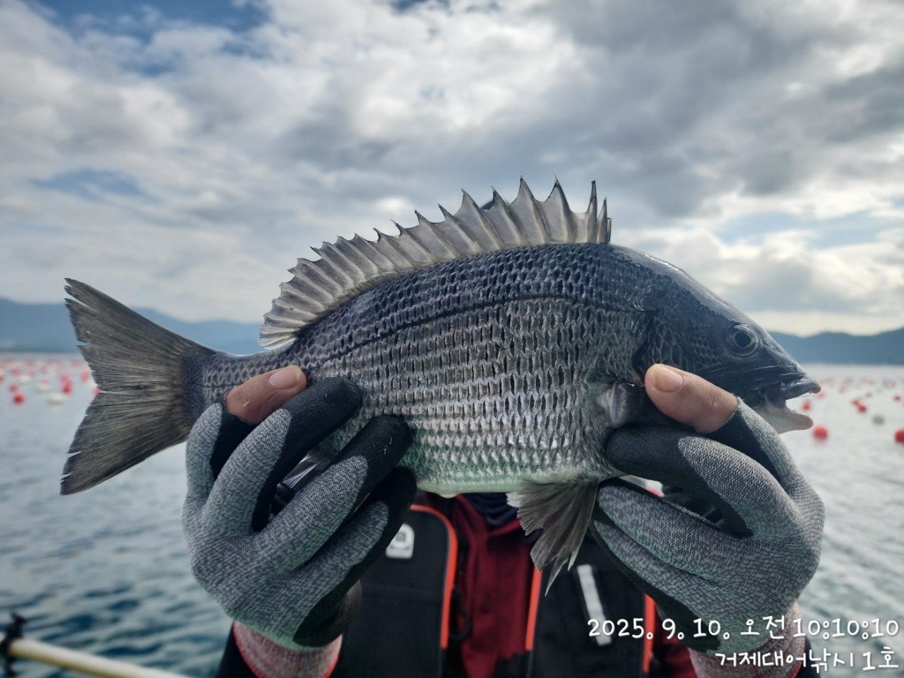 사용자가 올린 이미지