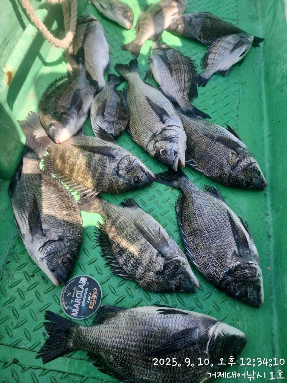 사용자가 올린 이미지