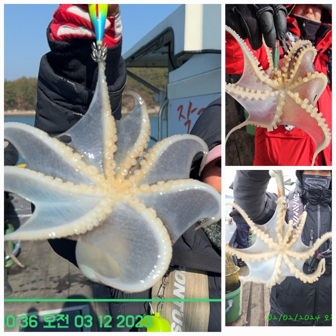 사용자가 올린 이미지