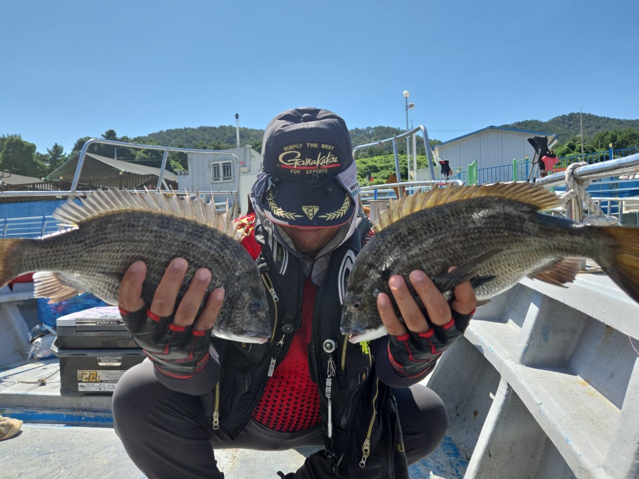 사용자가 올린 이미지