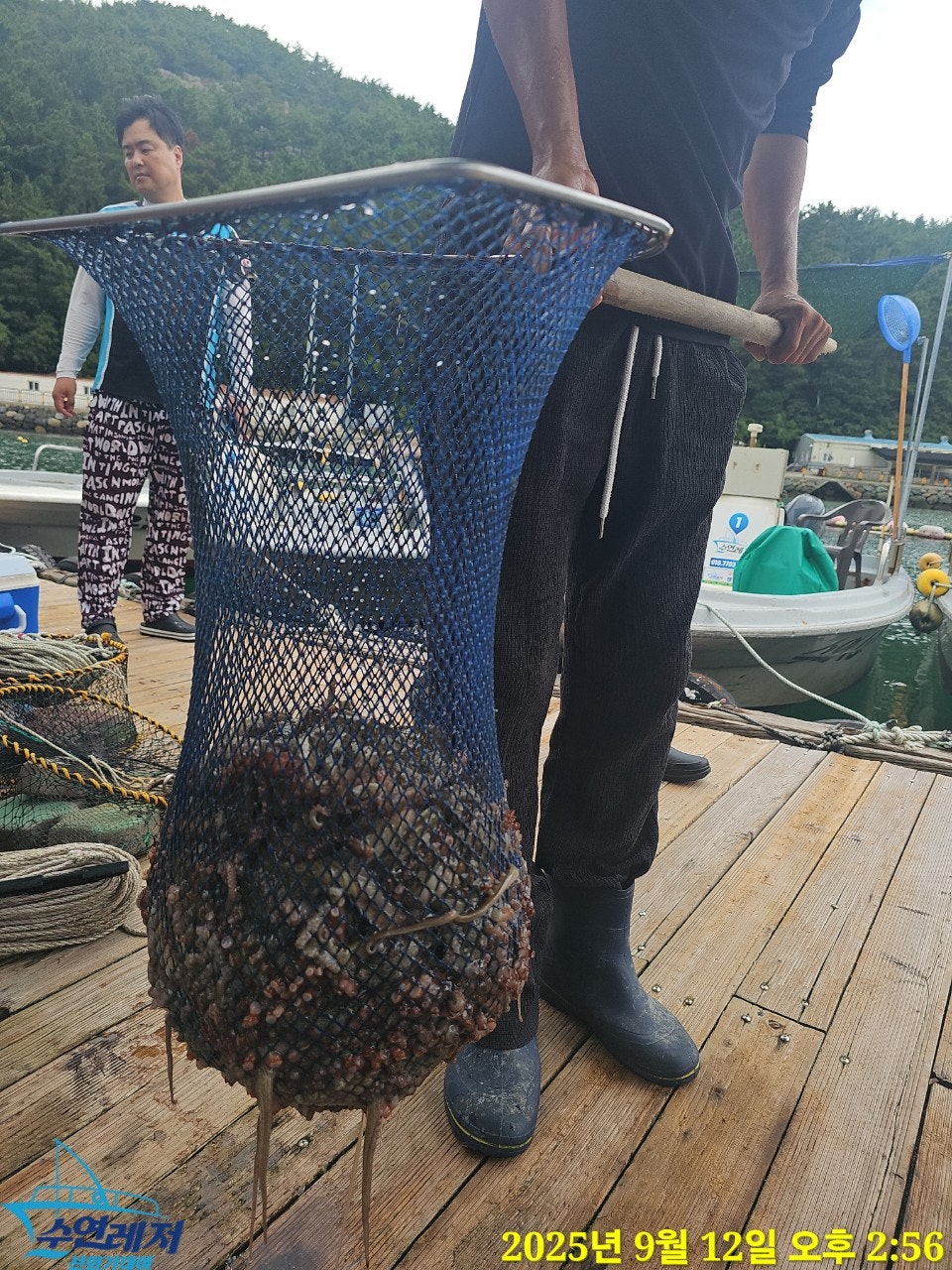 사용자가 올린 이미지