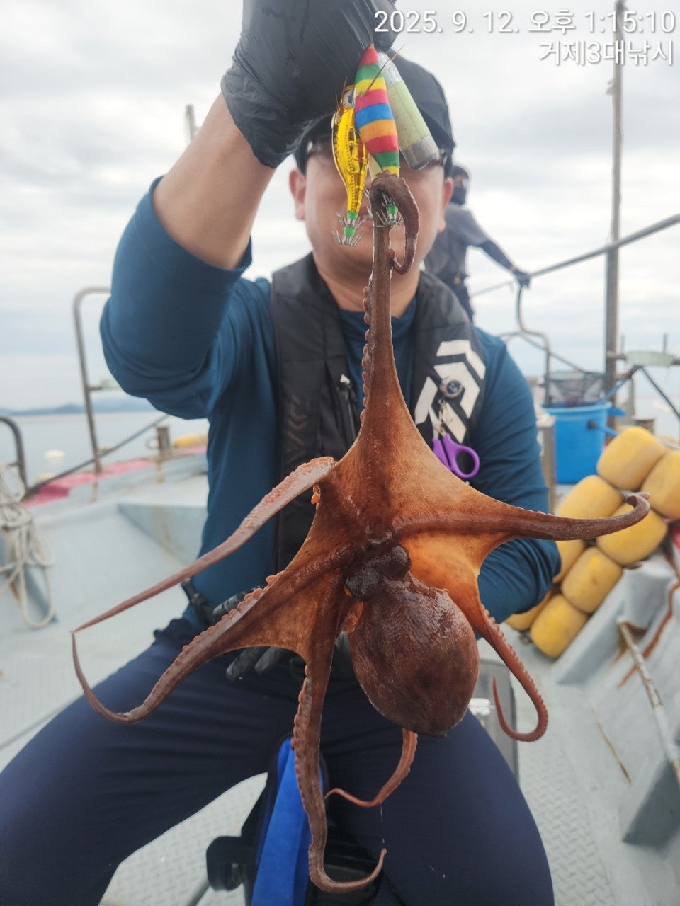 사용자가 올린 이미지