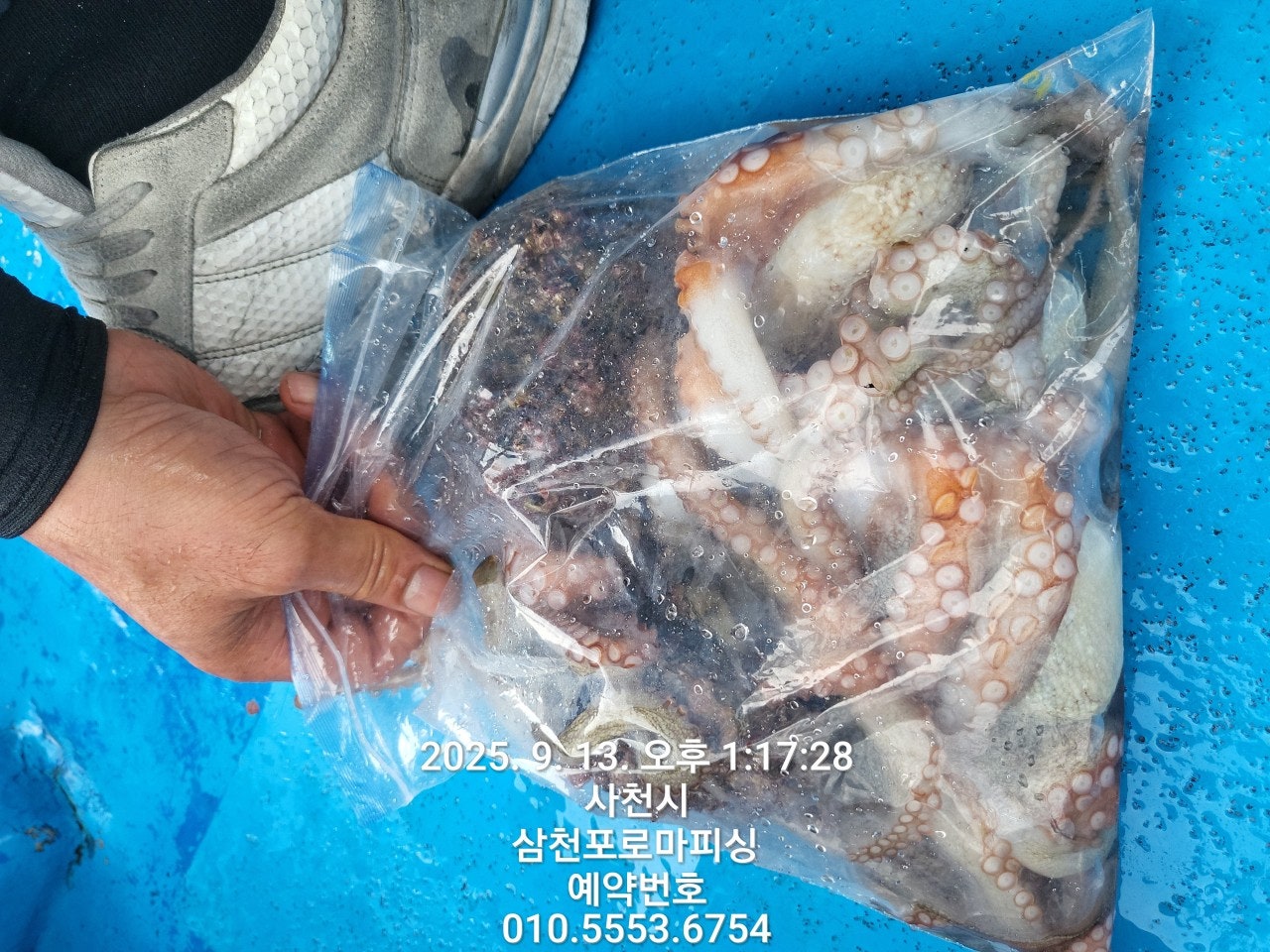 사용자가 올린 이미지