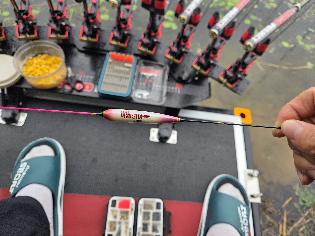 사용자가 올린 이미지