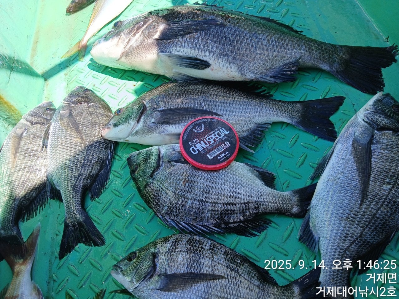 사용자가 올린 이미지