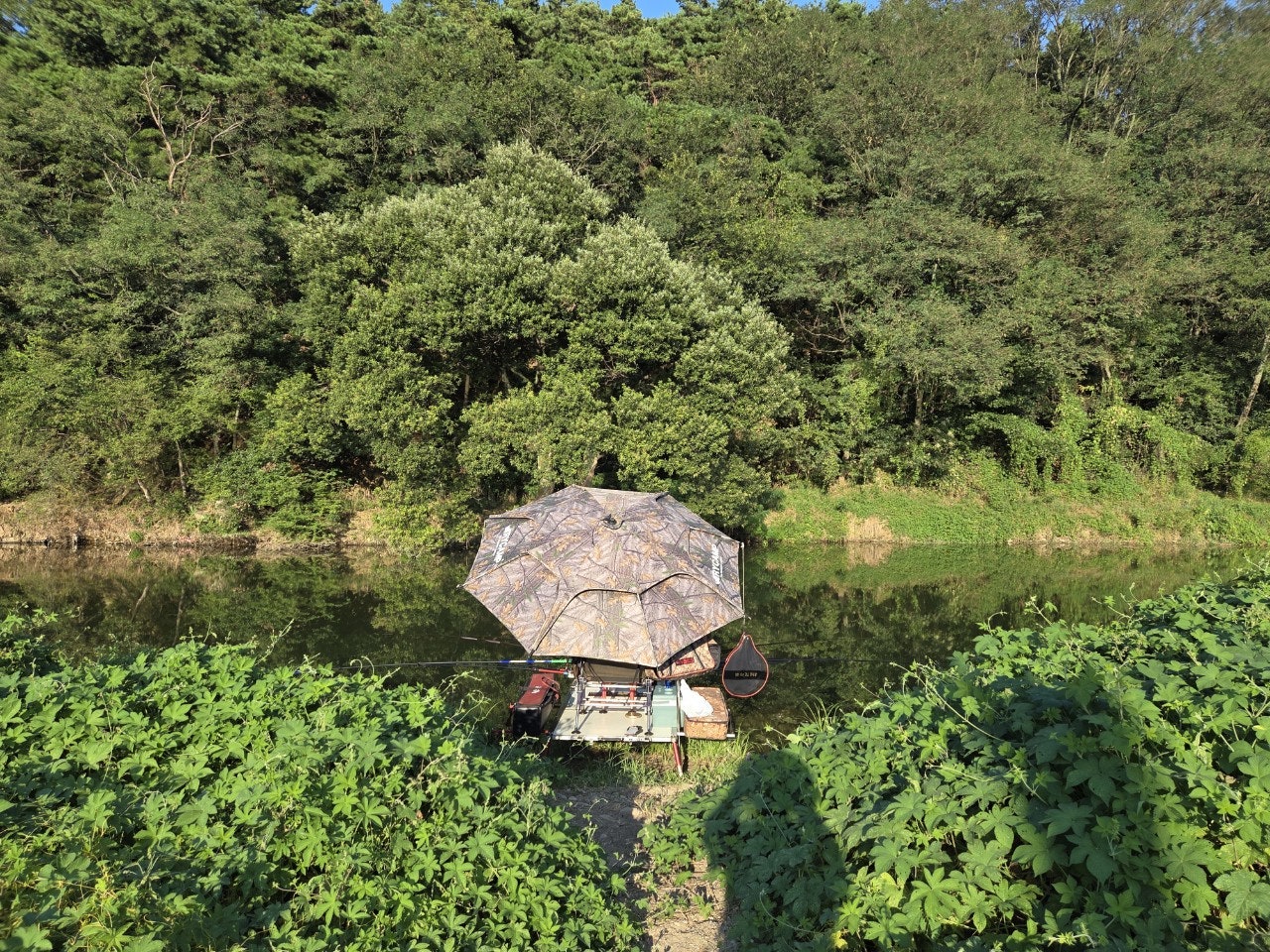 사용자가 올린 이미지