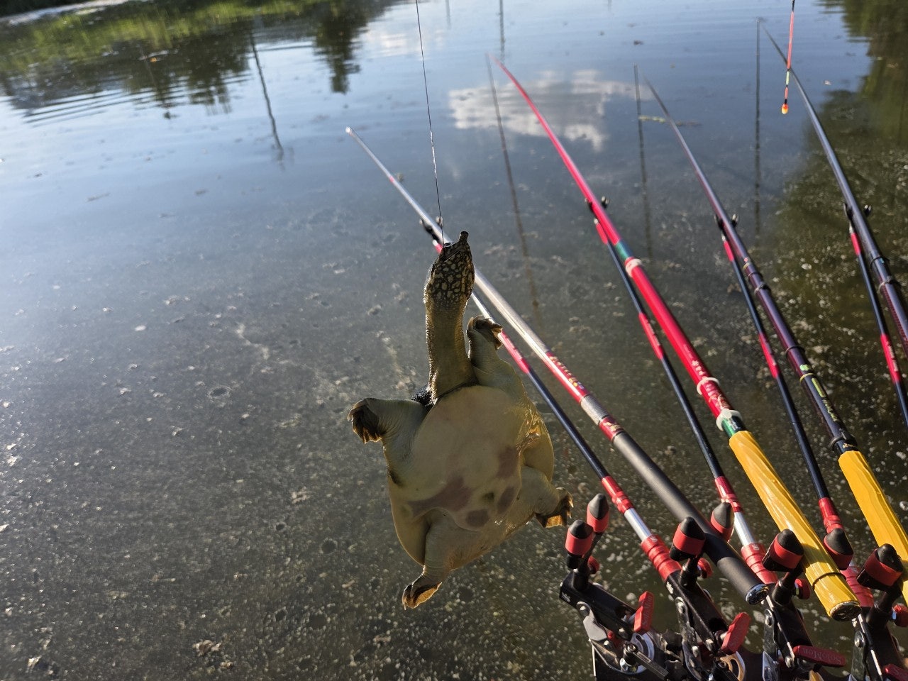 사용자가 올린 이미지