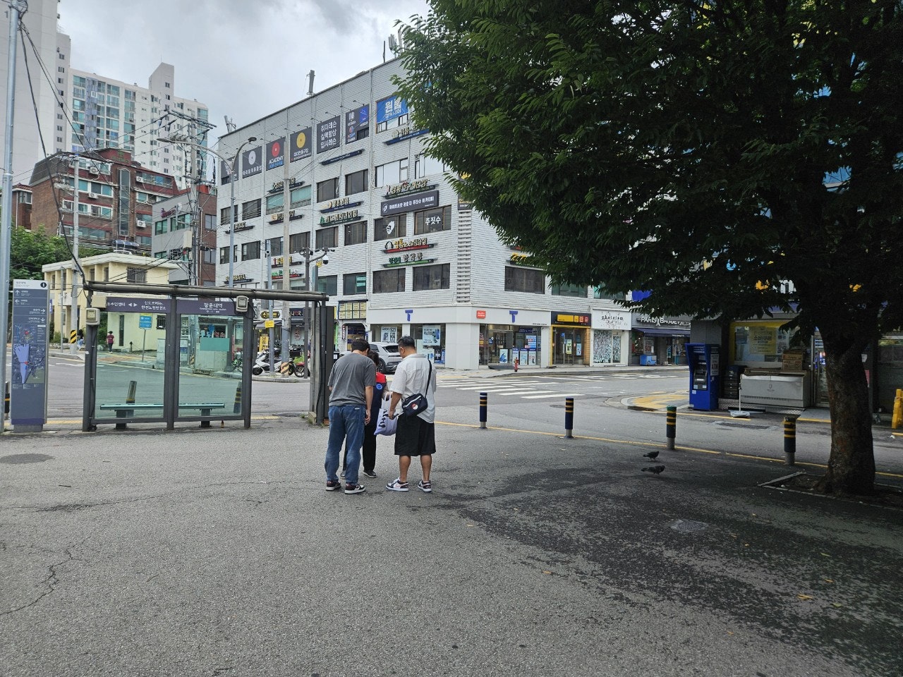 사용자가 올린 이미지