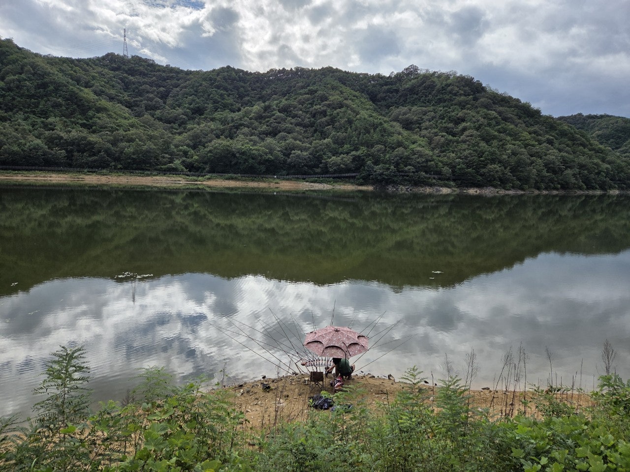 사용자가 올린 이미지