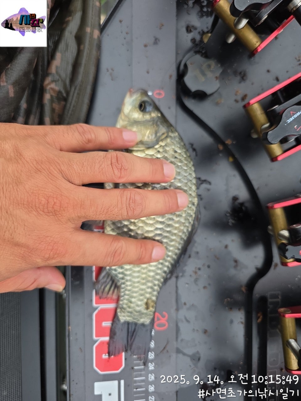 사용자가 올린 이미지