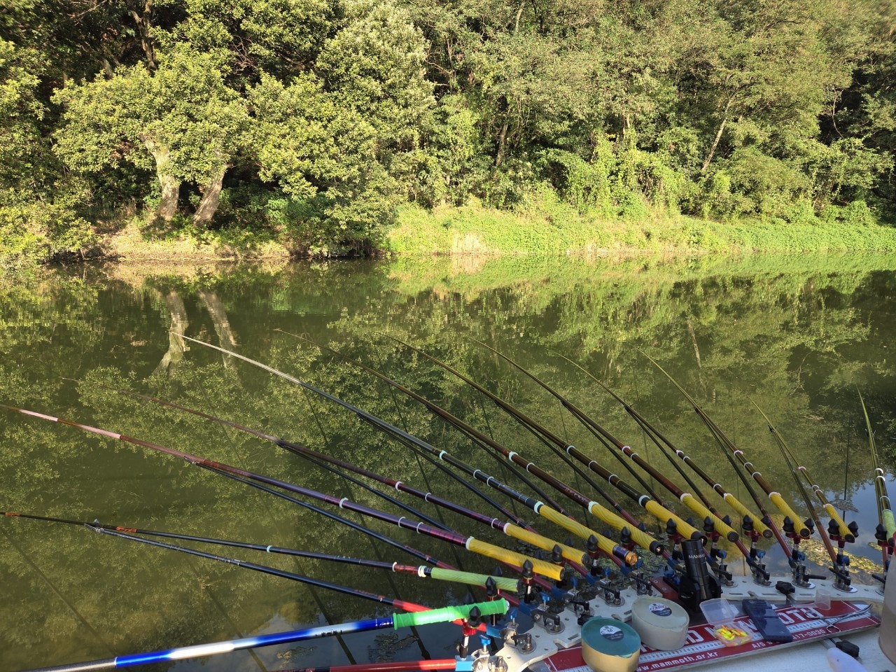 사용자가 올린 이미지