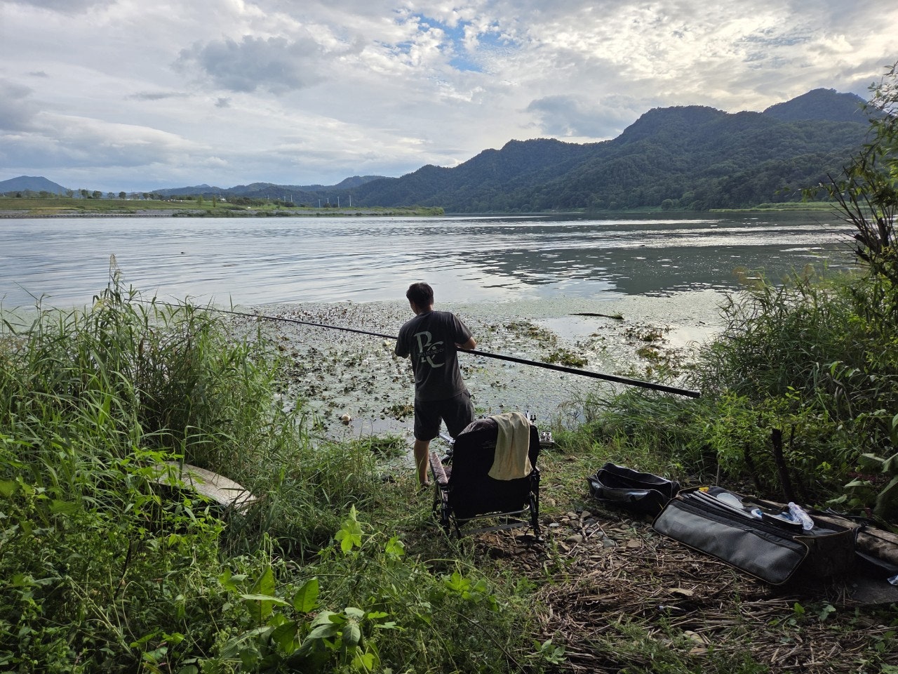 사용자가 올린 이미지