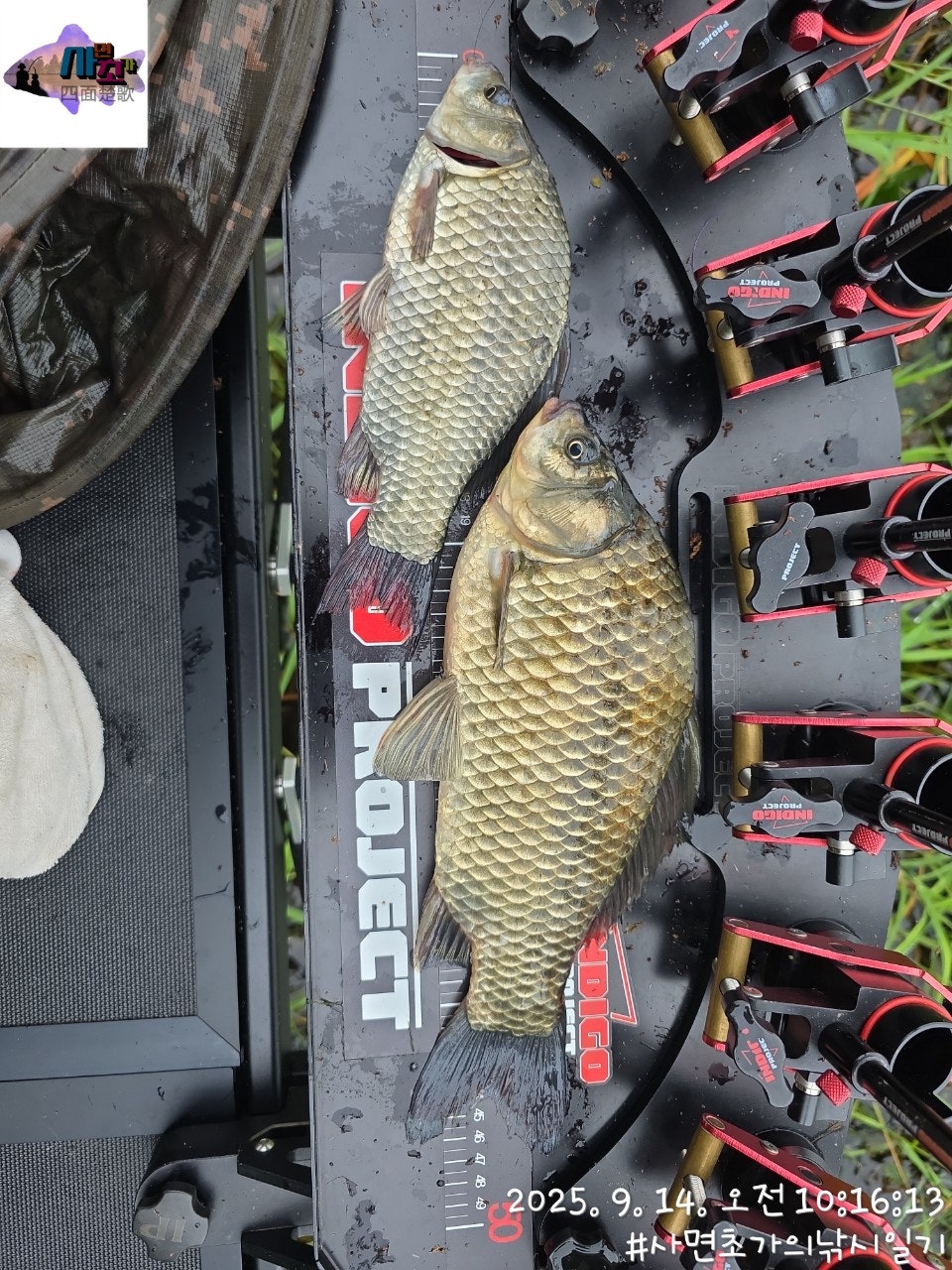 사용자가 올린 이미지