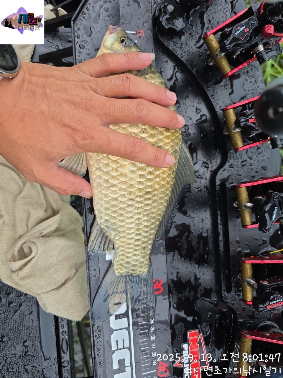 사용자가 올린 이미지