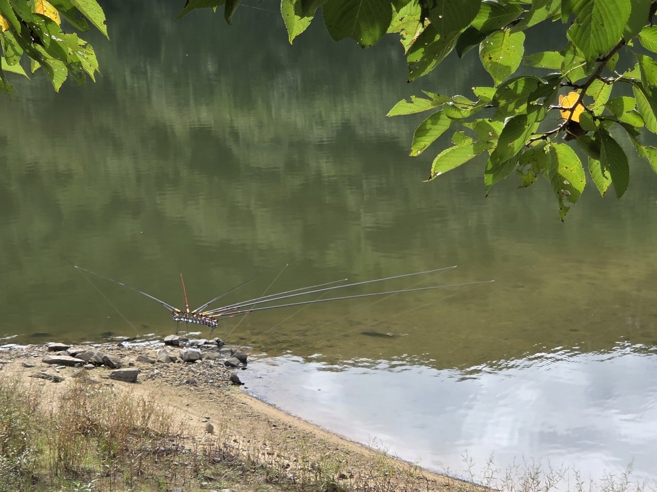 사용자가 올린 이미지
