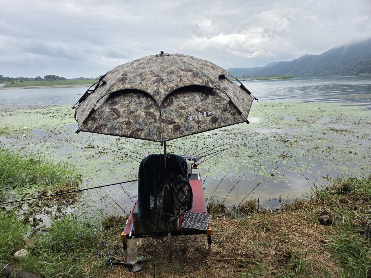 사용자가 올린 이미지