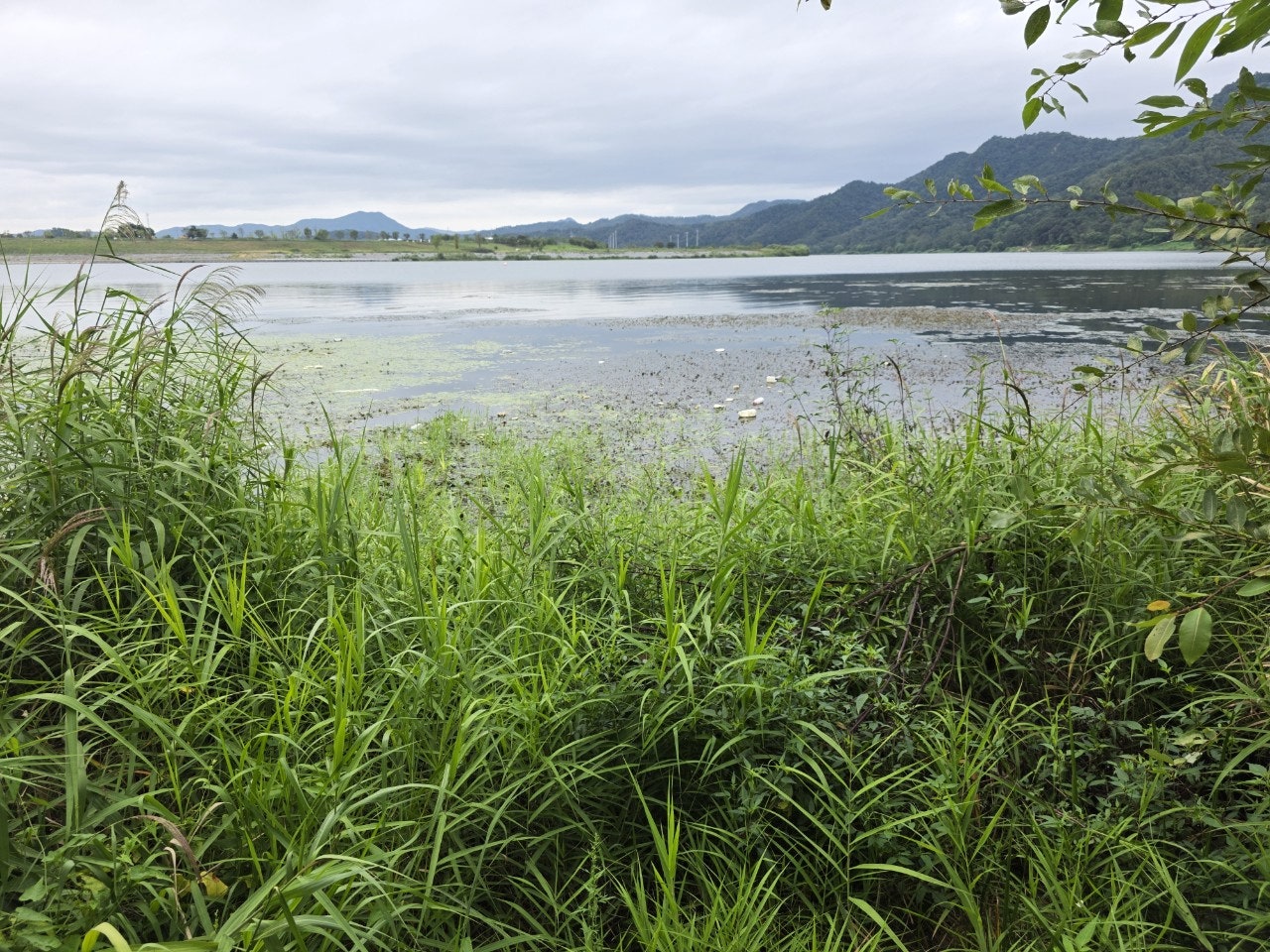 사용자가 올린 이미지