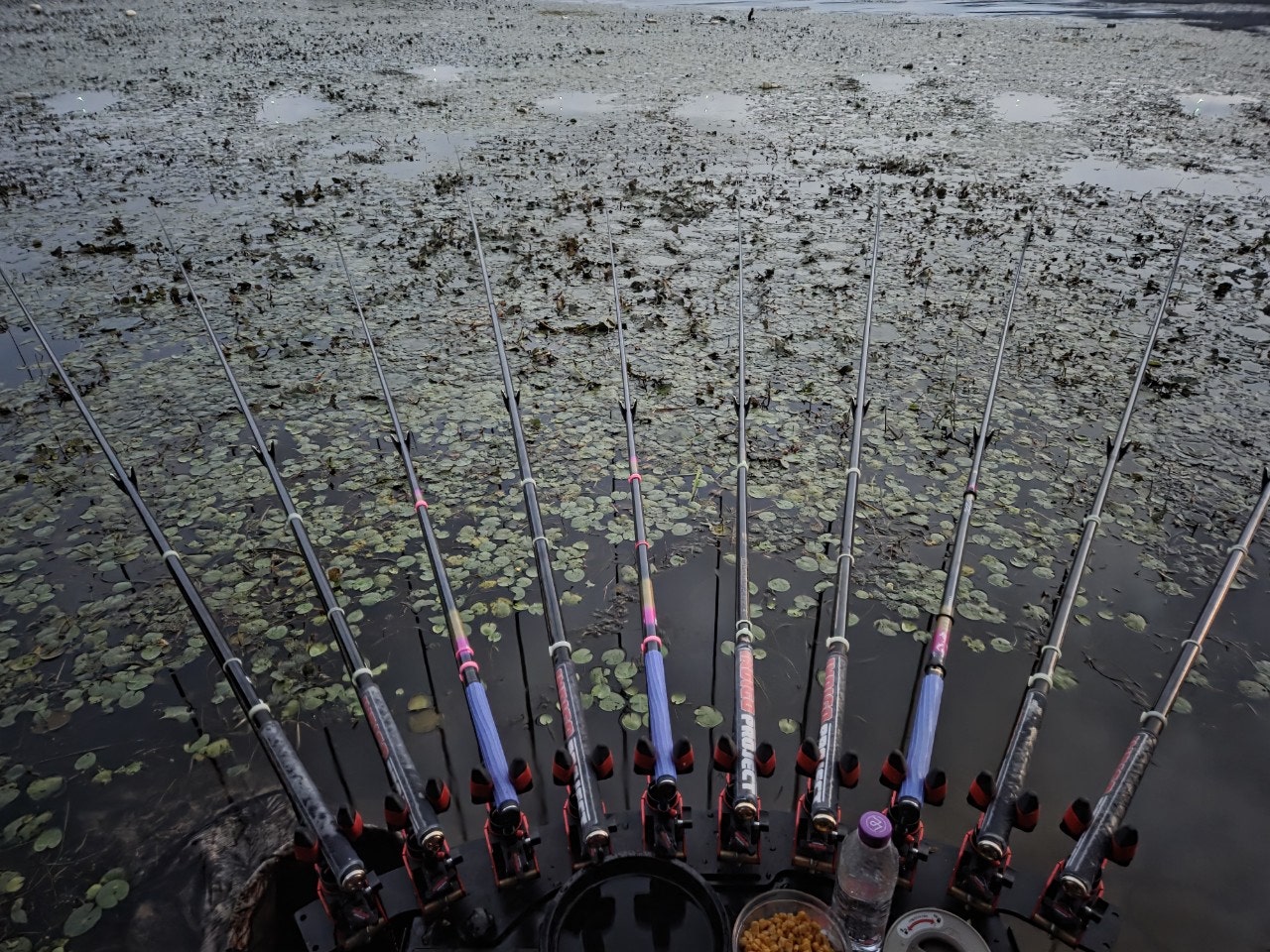 사용자가 올린 이미지