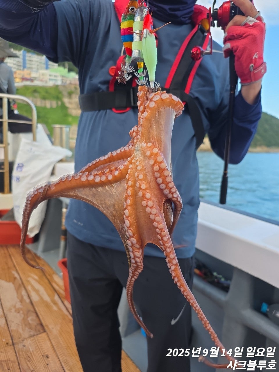 사용자가 올린 이미지