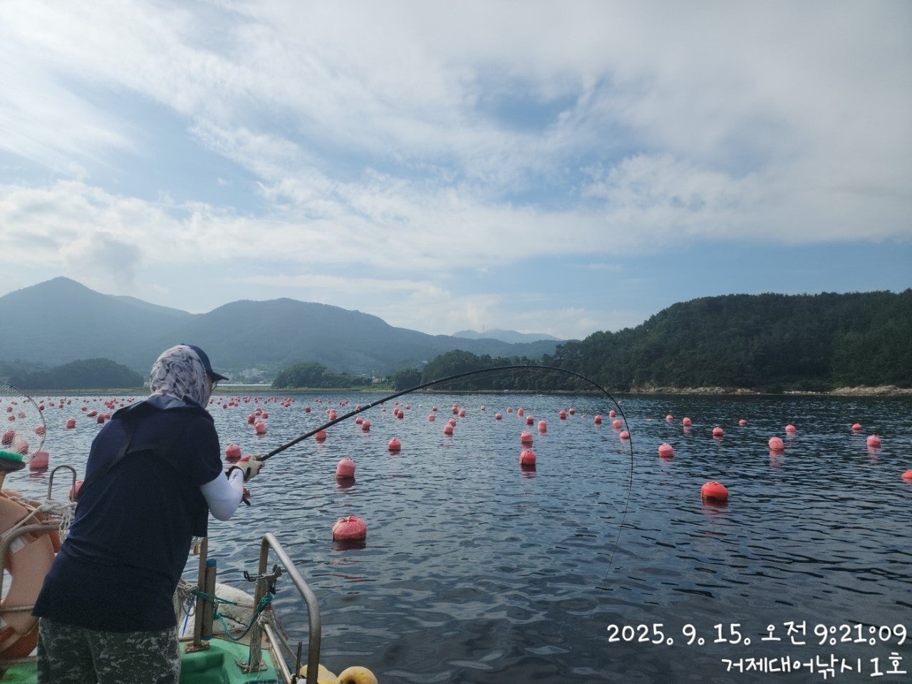 사용자가 올린 이미지