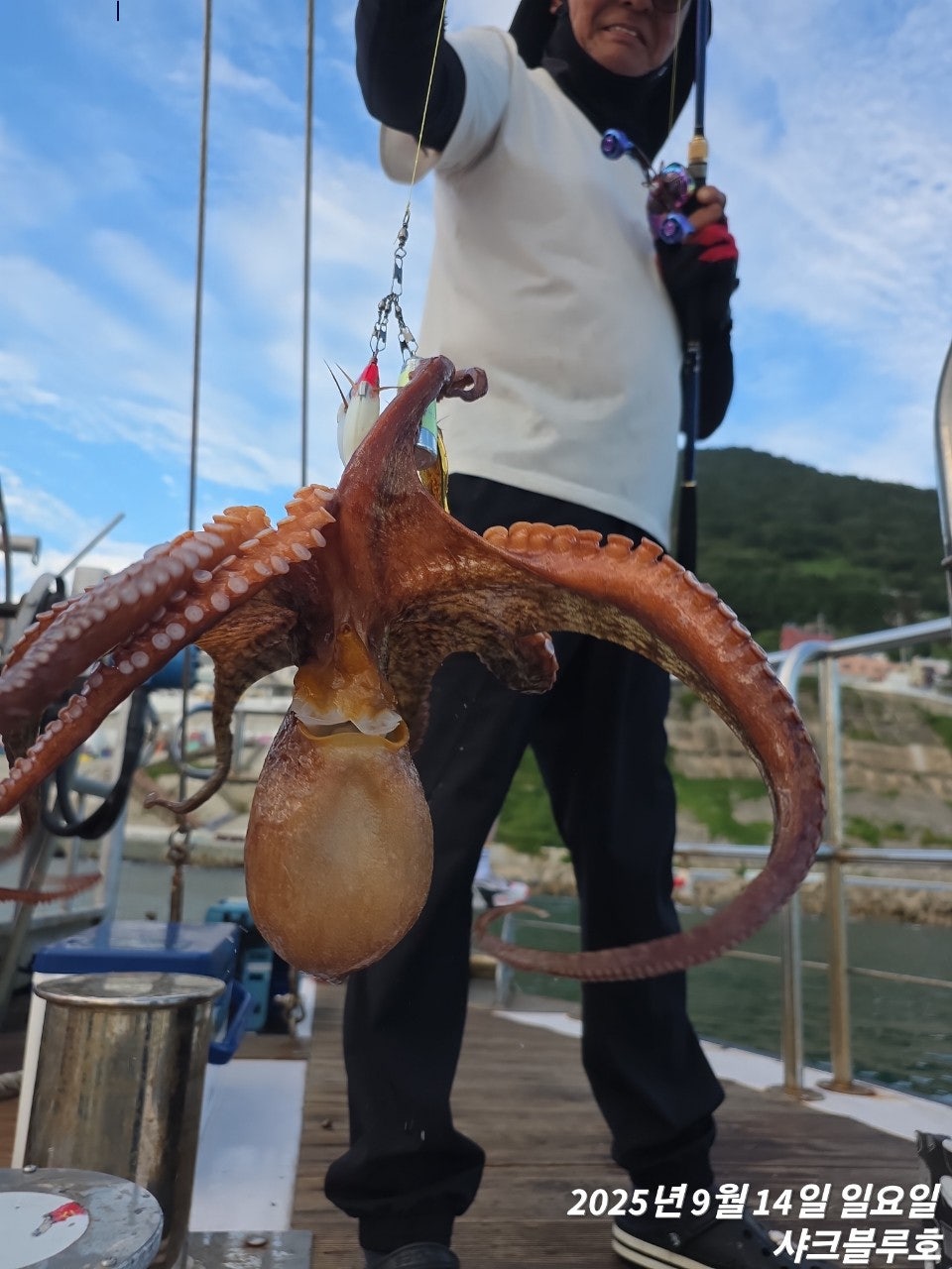 사용자가 올린 이미지