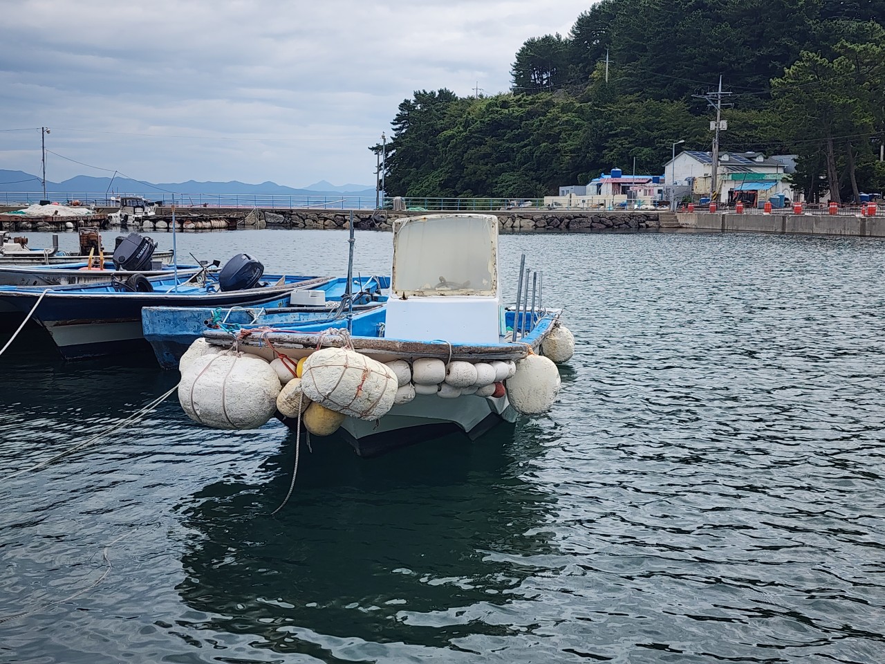 물건번호 - 0736번