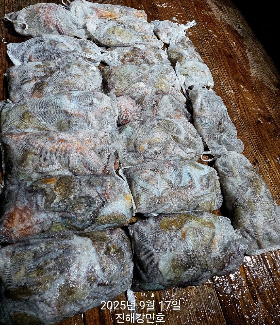 ڰ ø ̹