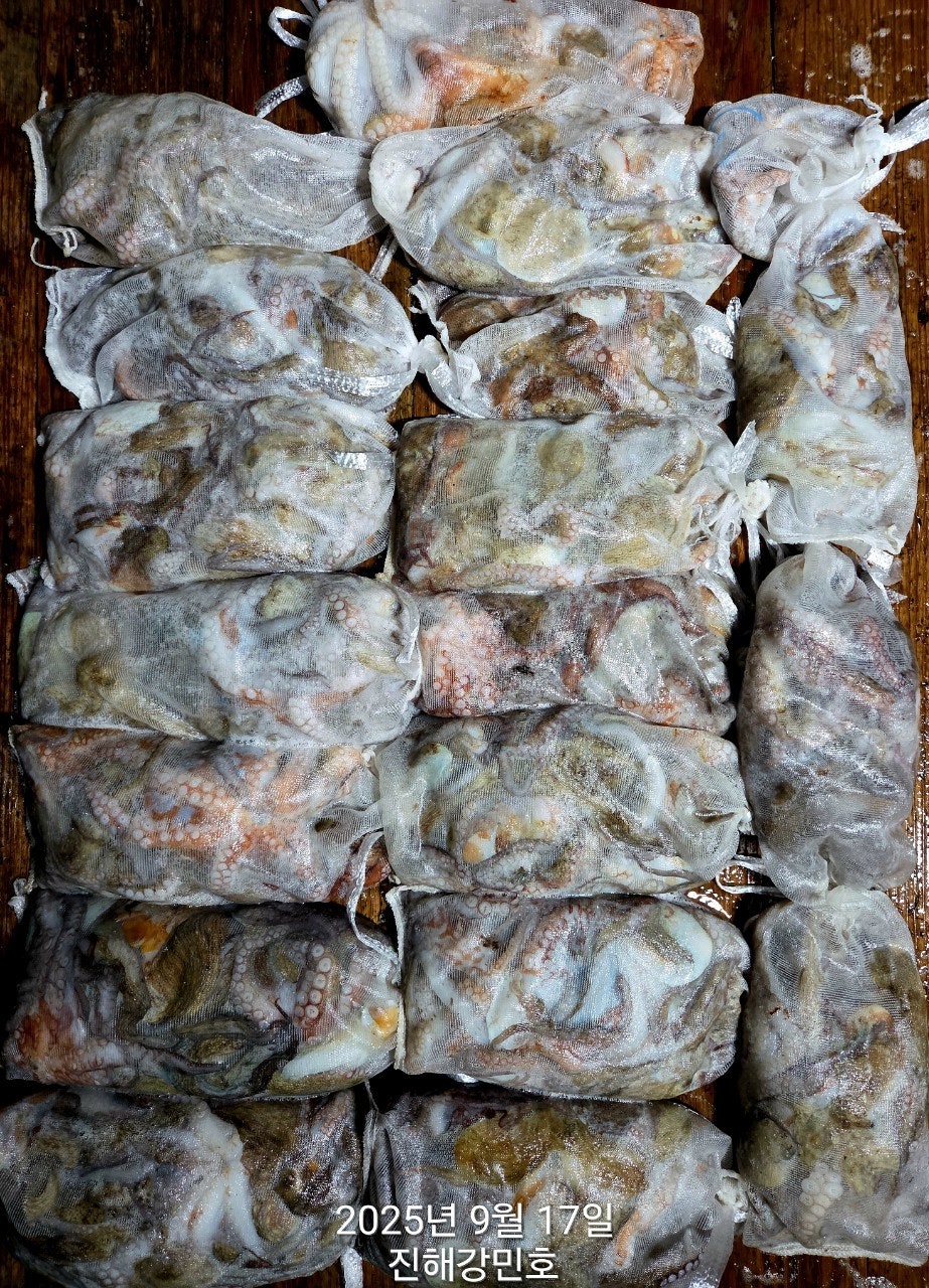 ڰ ø ̹