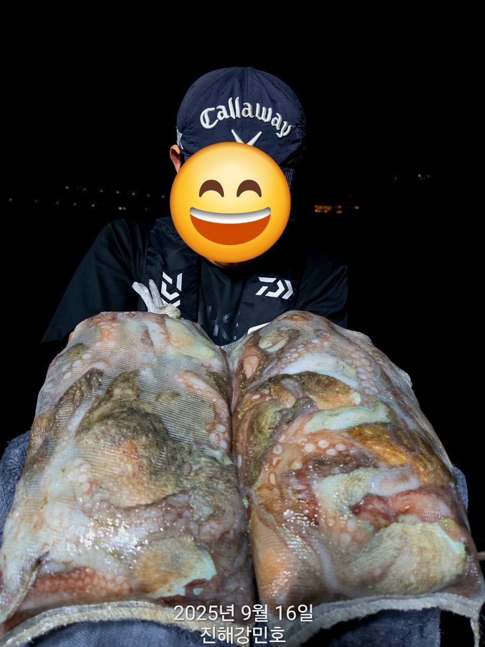 ڰ ø ̹