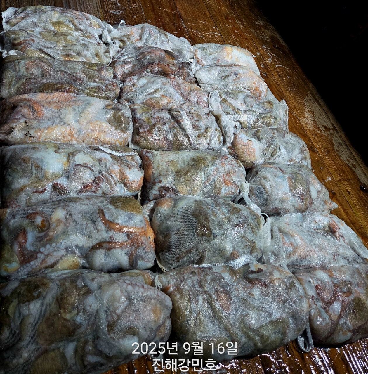 ڰ ø ̹