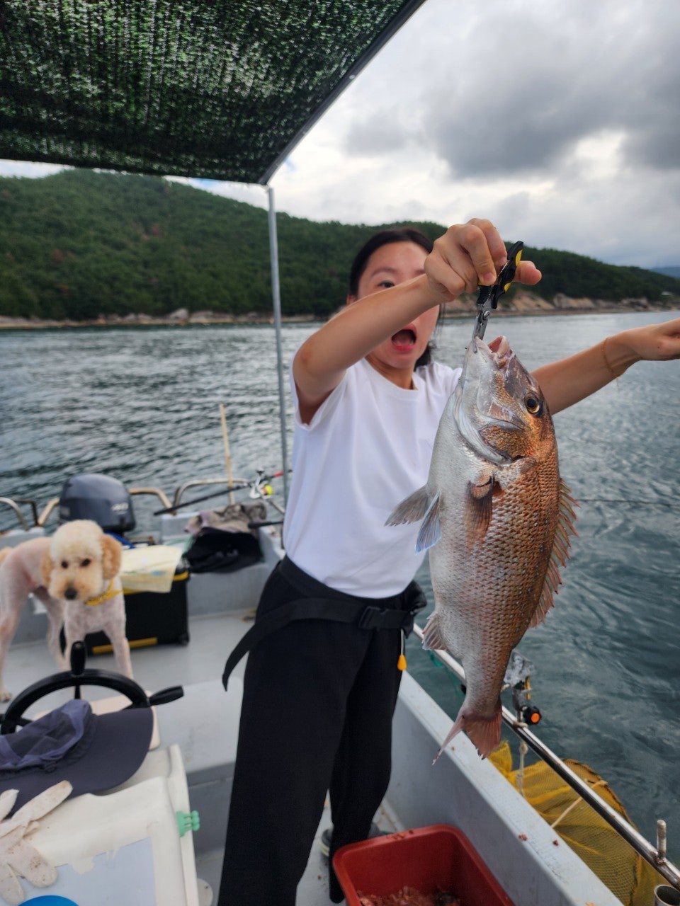 사용자가 올린 이미지