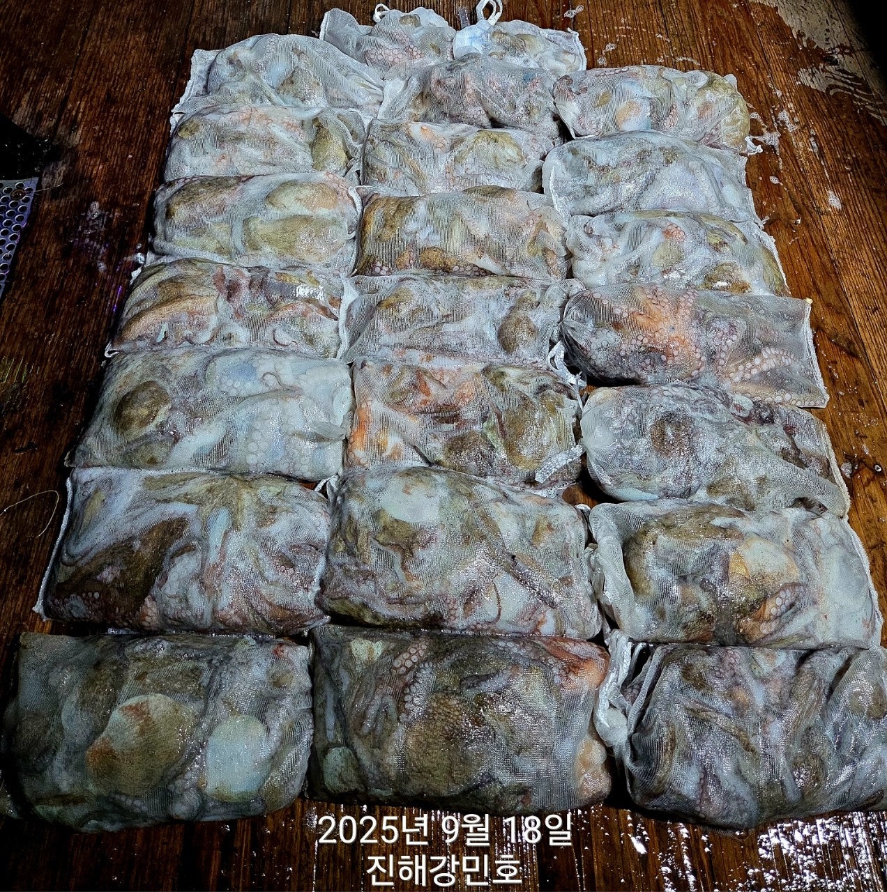 ڰ ø ̹