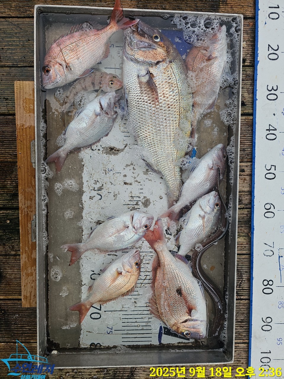 사용자가 올린 이미지