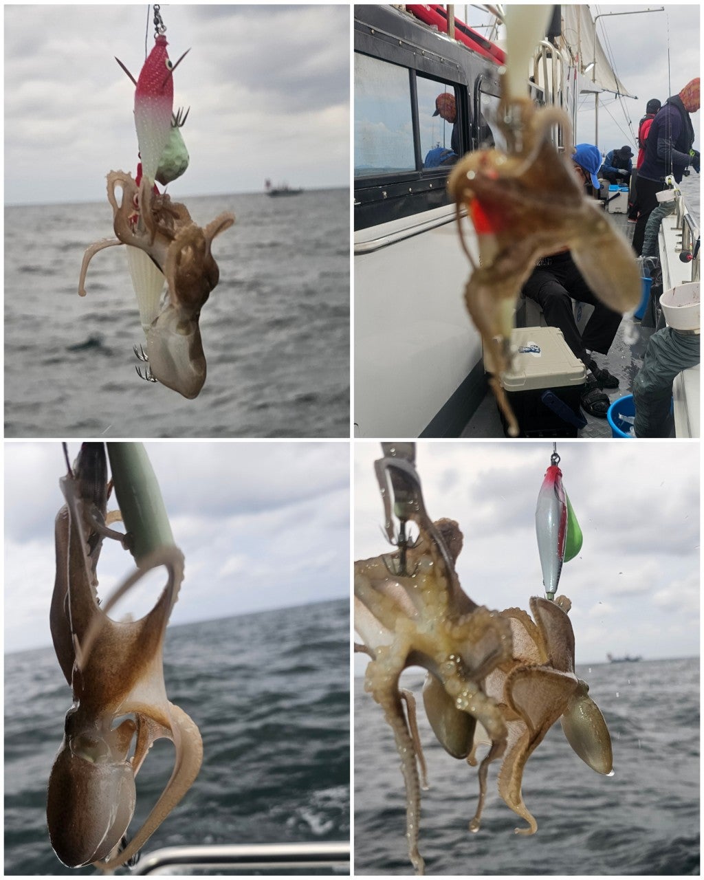 사용자가 올린 이미지