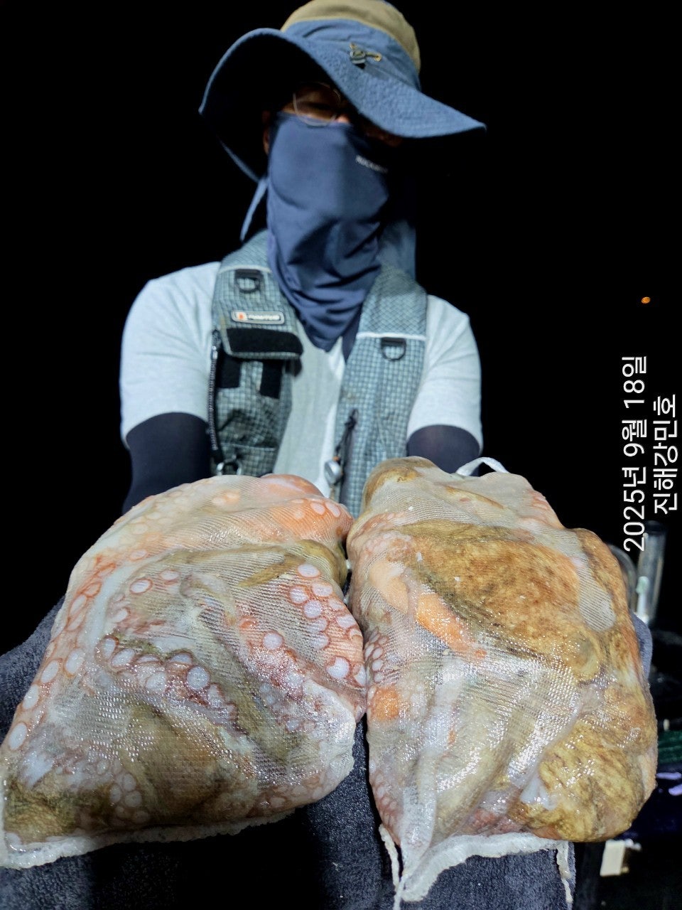 ڰ ø ̹