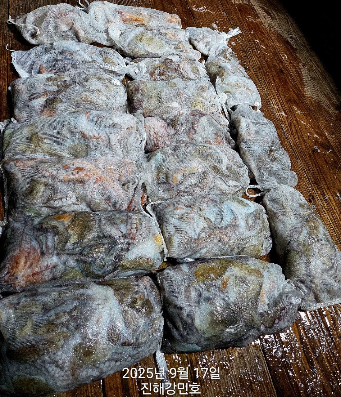 ڰ ø ̹