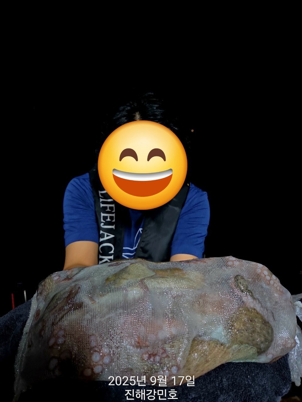 ڰ ø ̹