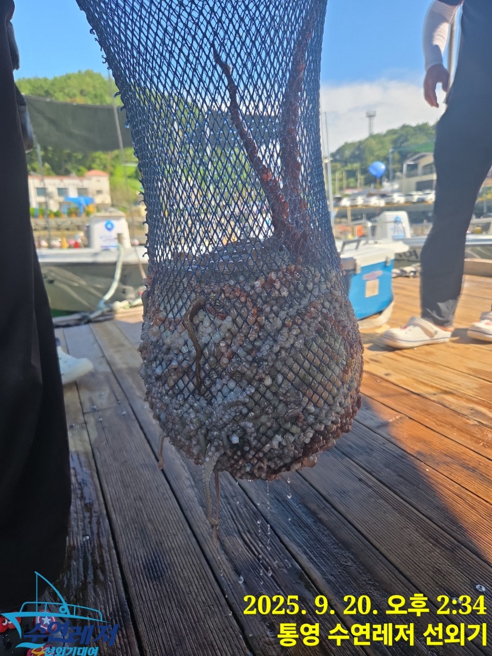 사용자가 올린 이미지