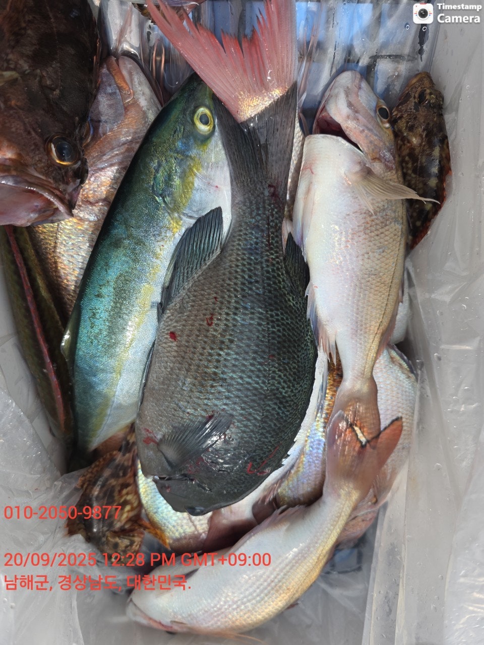 사용자가 올린 이미지