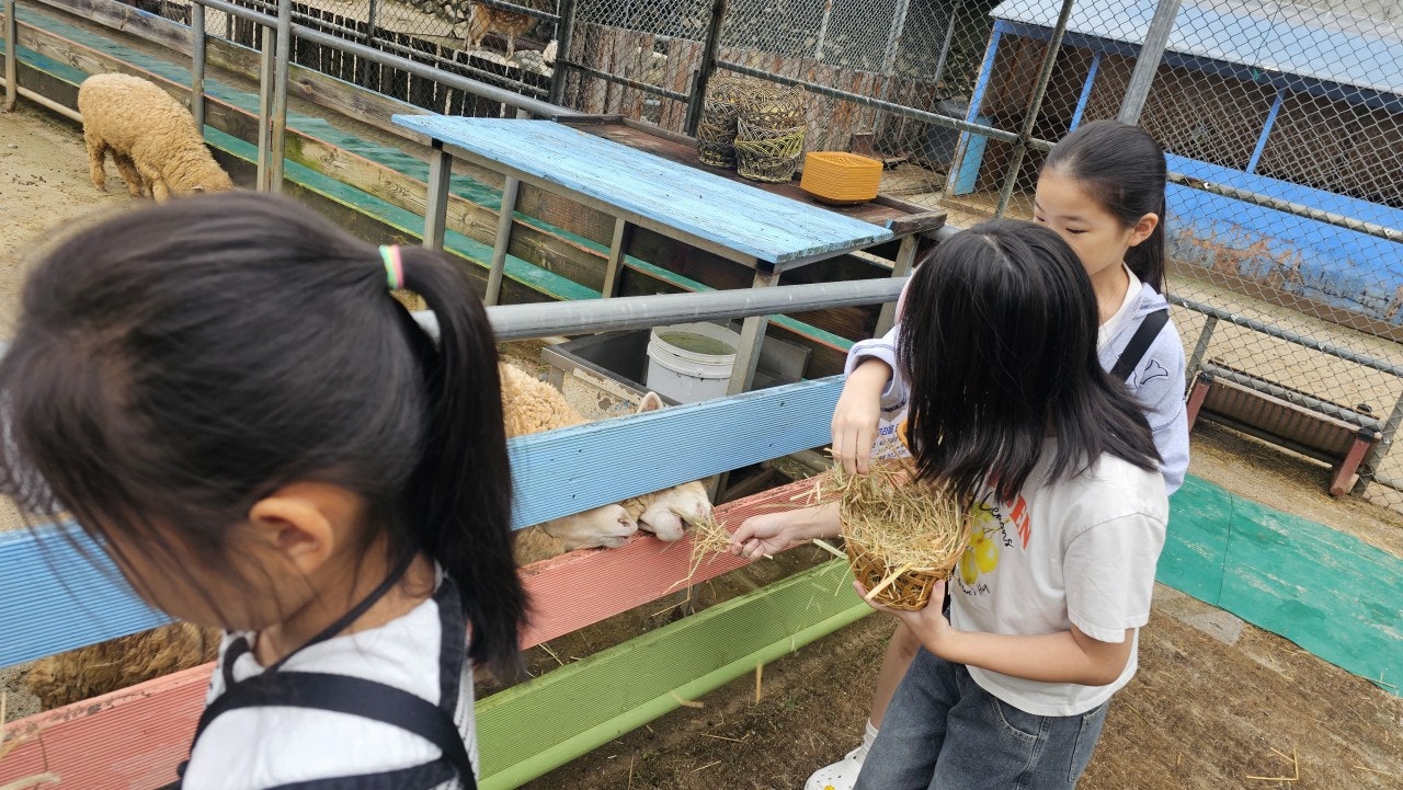 사용자가 올린 이미지