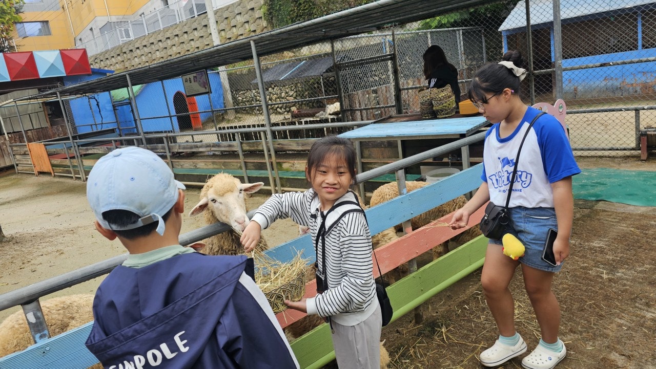 사용자가 올린 이미지