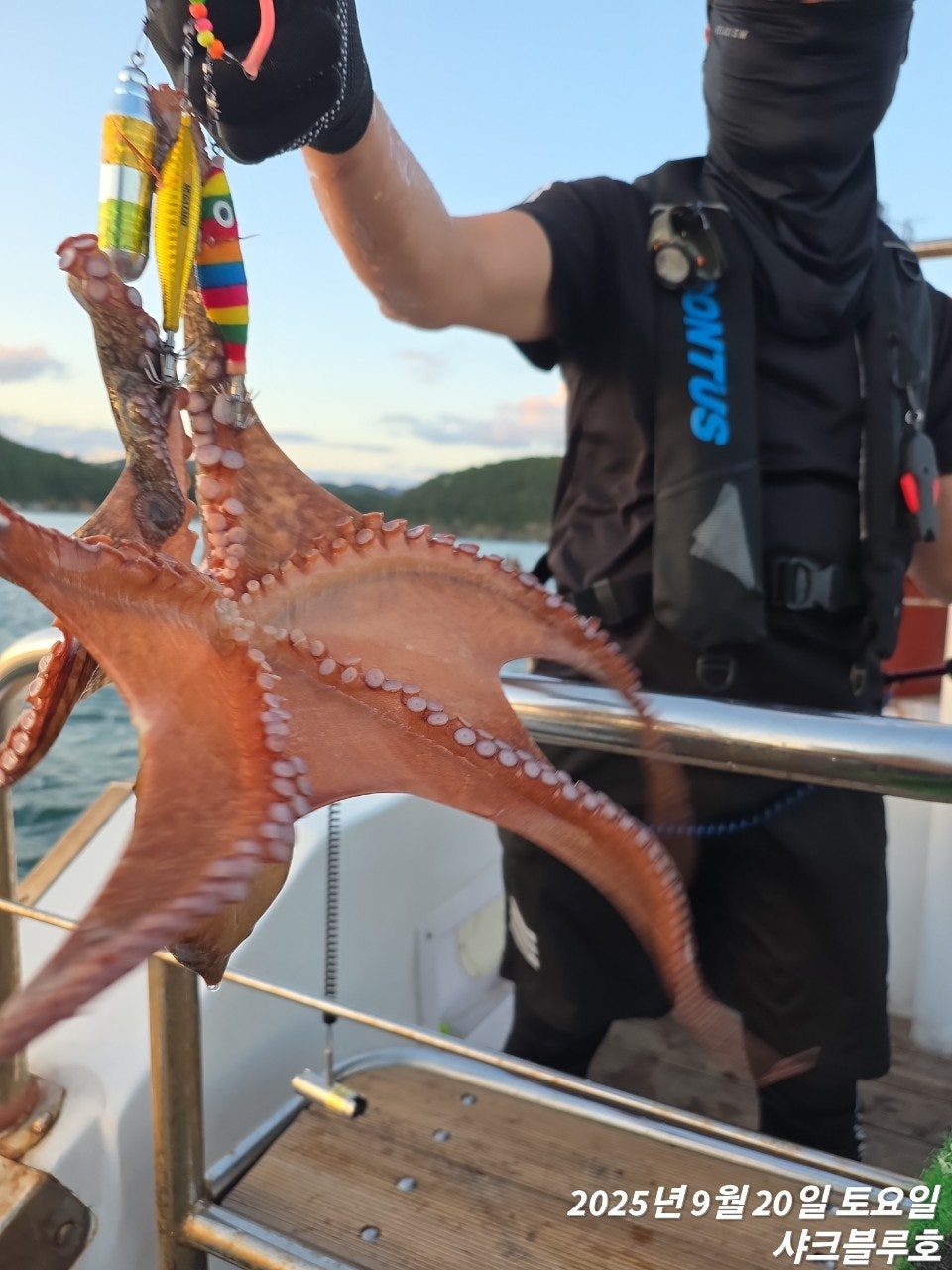 사용자가 올린 이미지