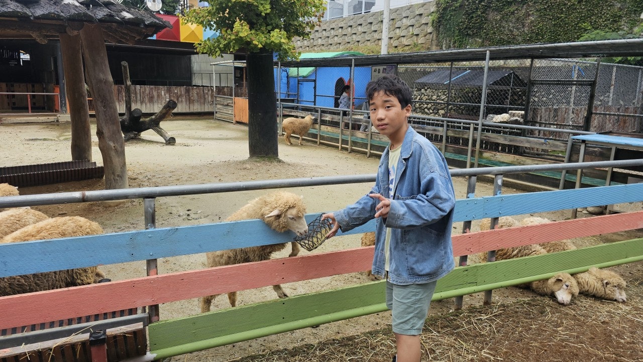 사용자가 올린 이미지