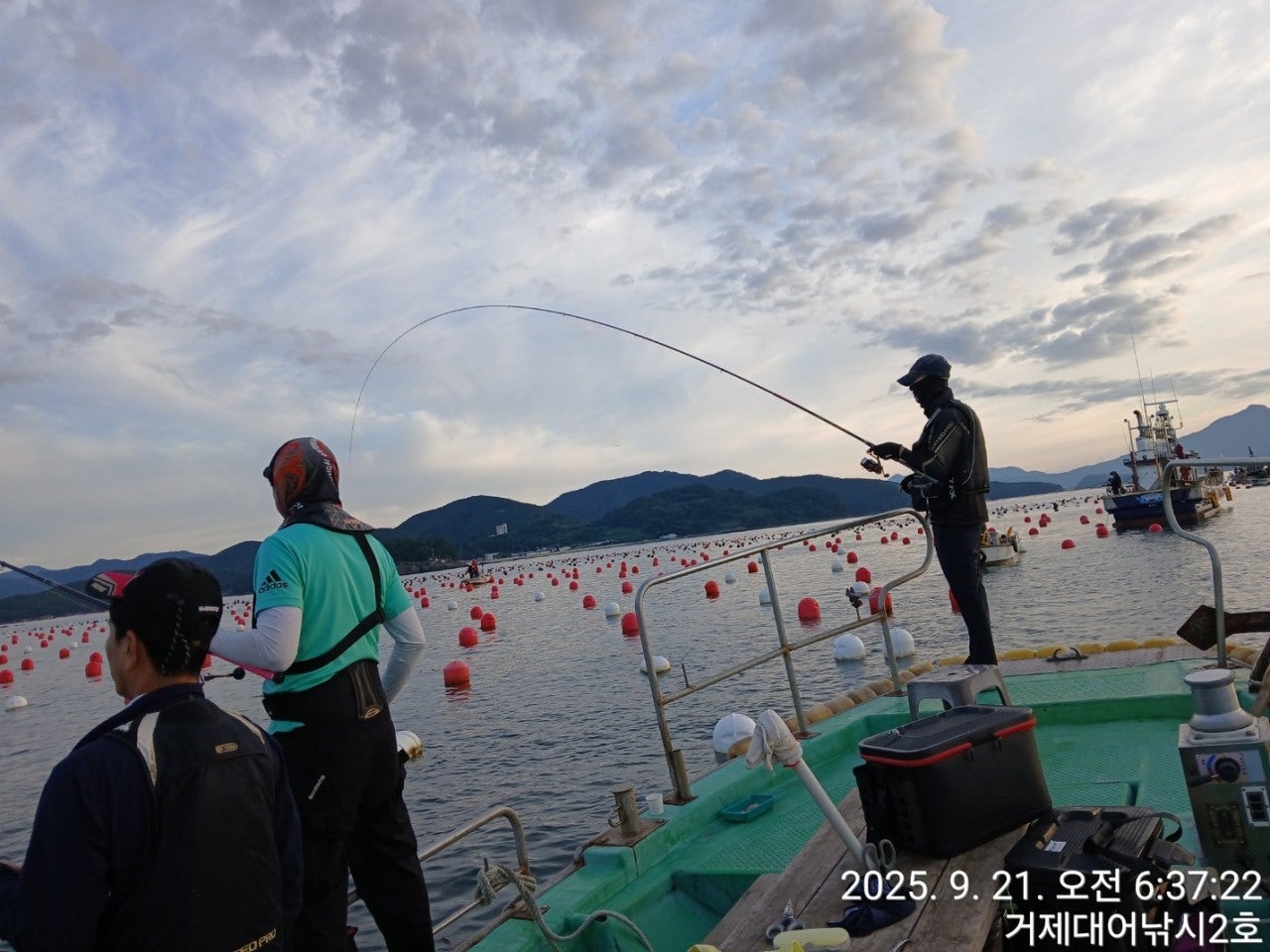 사용자가 올린 이미지