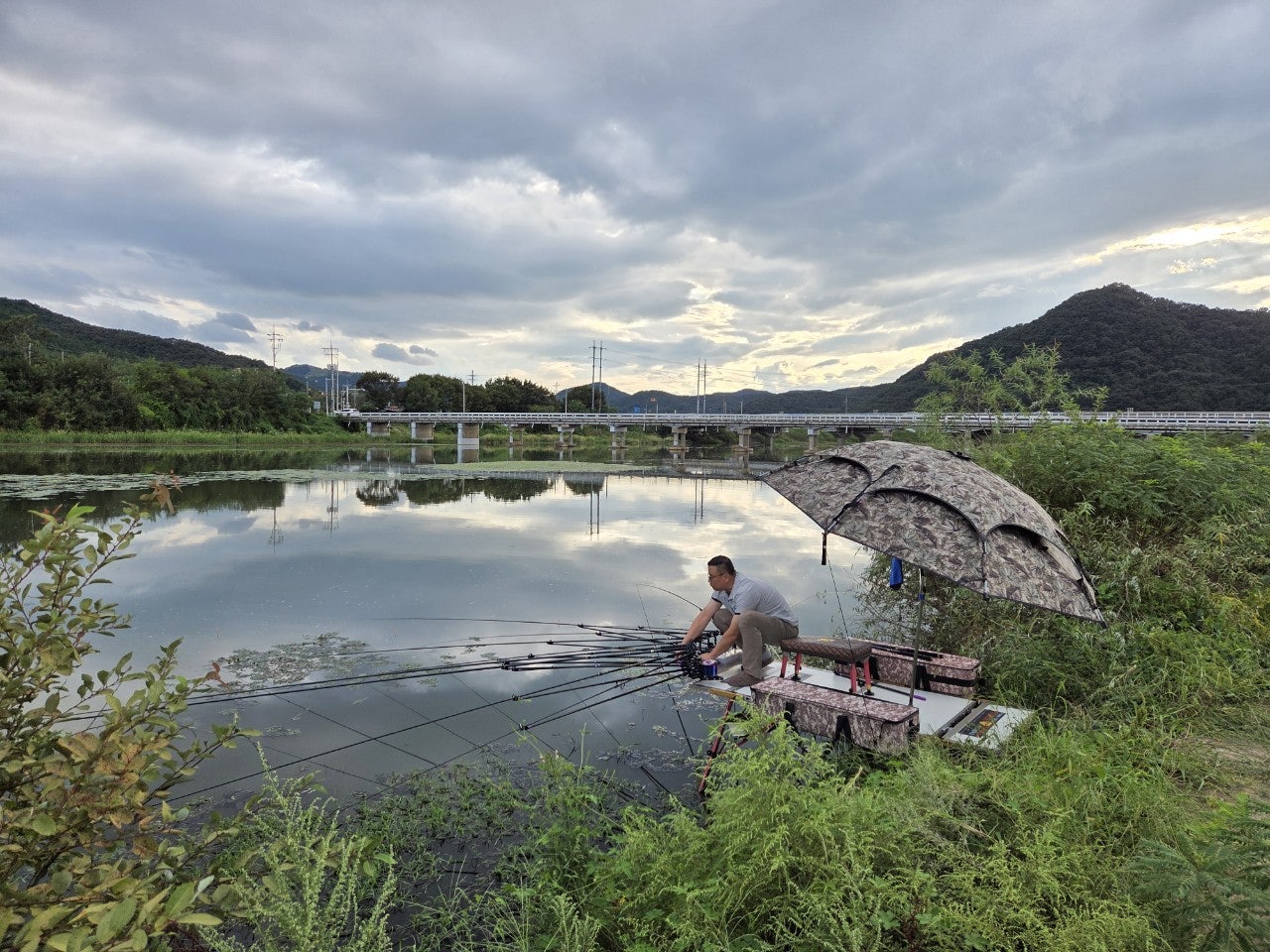 사용자가 올린 이미지