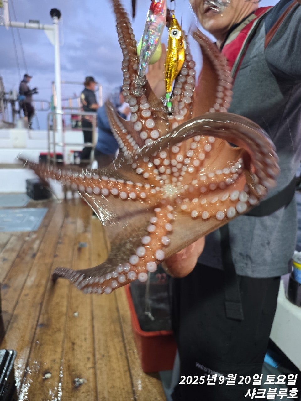 사용자가 올린 이미지