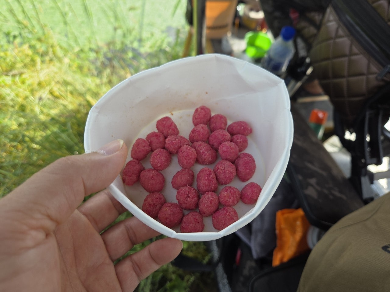 사용자가 올린 이미지